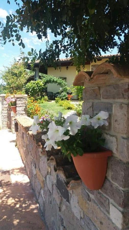 B&B Ottoulivi Sardara Esterno foto