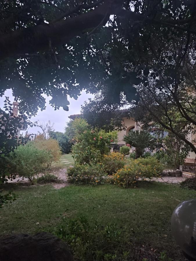 B&B Ottoulivi Sardara Esterno foto